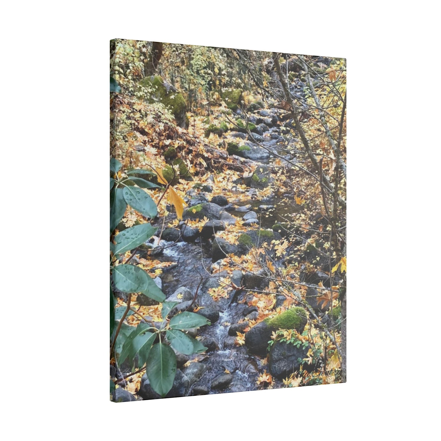 Hike in the Forest -  Stretched Matte Canvas Wall Art, Wall Decor