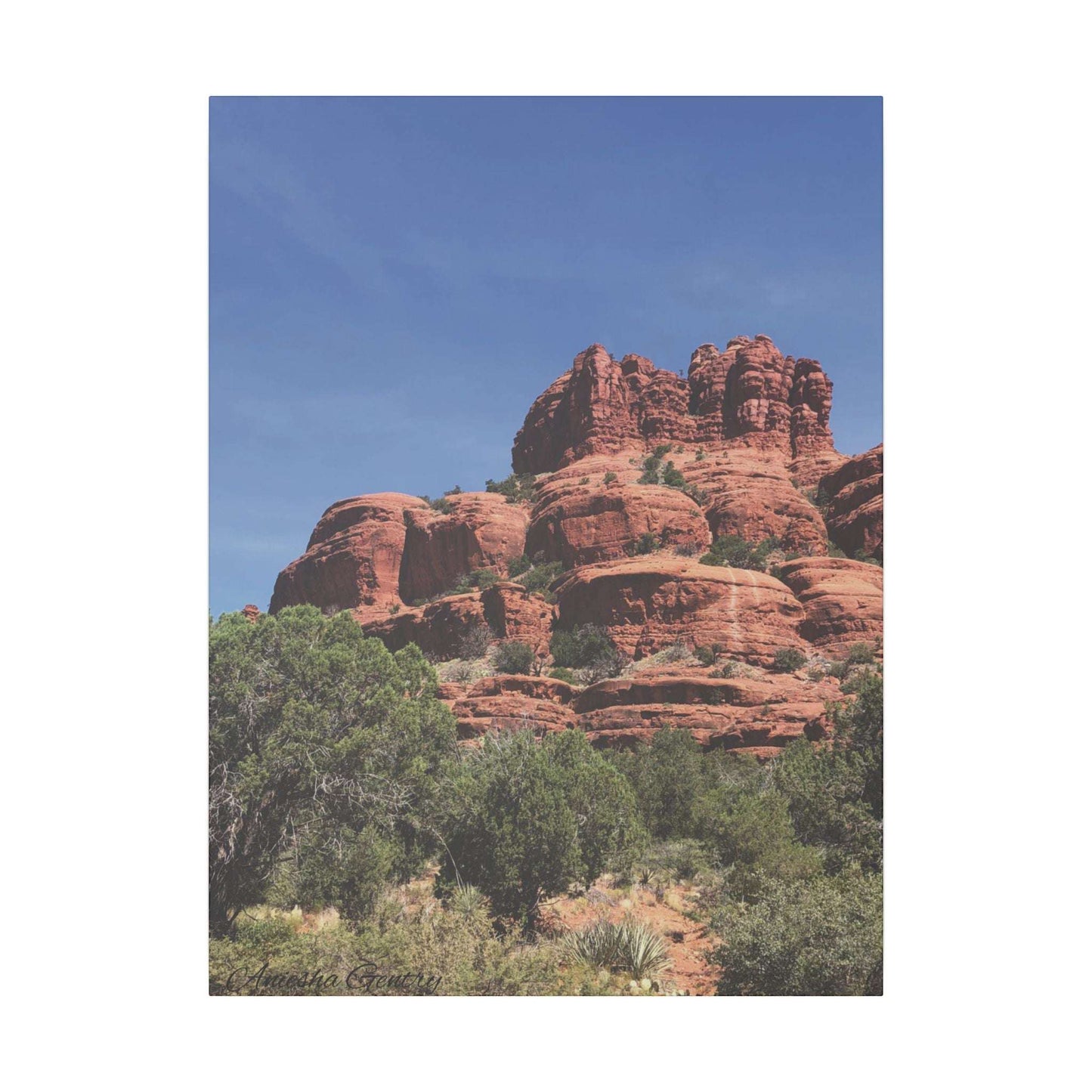 Majestic Red Rock Landscape -  Stretched Canvas Wall Art, Wall Decor