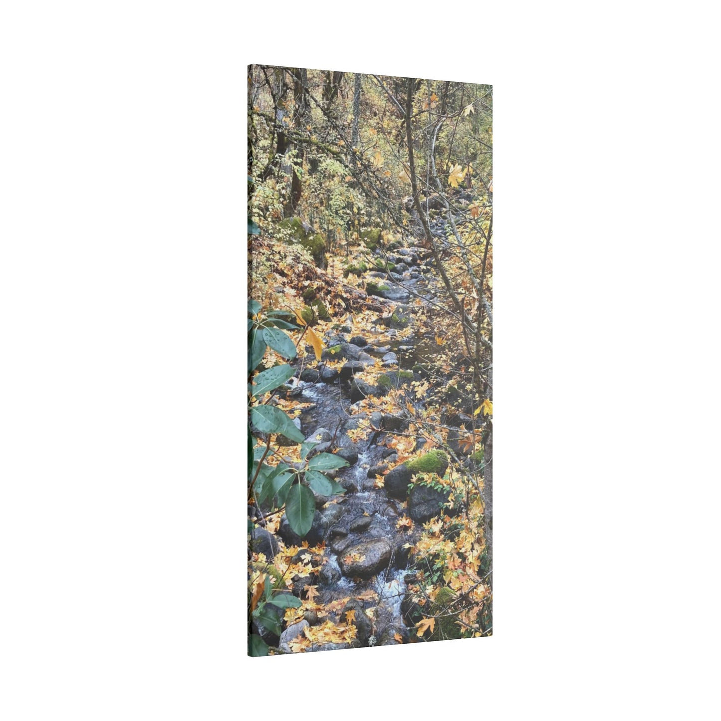 Hike in the Forest -  Stretched Matte Canvas Wall Art, Wall Decor