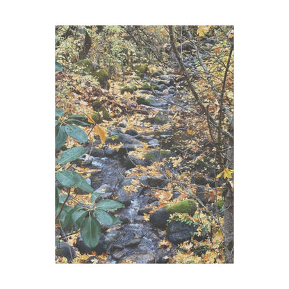 Hike in the Forest -  Stretched Matte Canvas Wall Art, Wall Decor