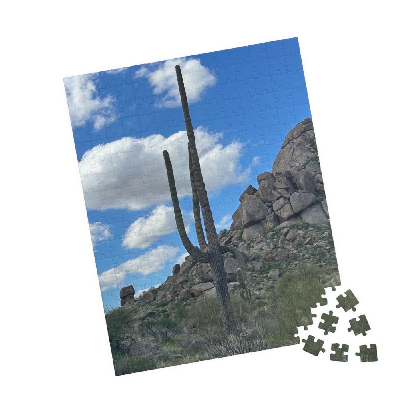 Arizona Desert Saguaro Cactus Scenic Puzzle —(110–1014 pieces)