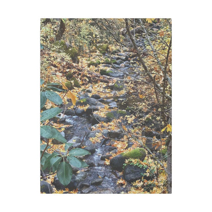 Hike in the Forest -  Stretched Matte Canvas Wall Art, Wall Decor