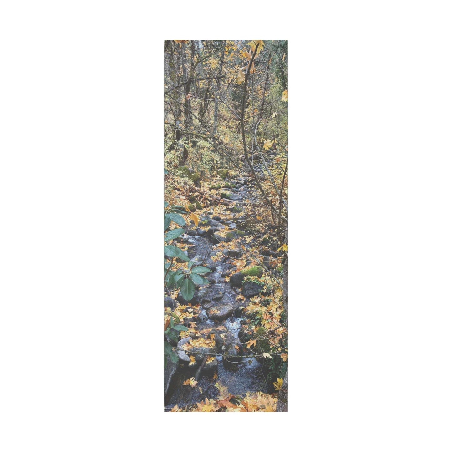 Hike in the Forest -  Stretched Matte Canvas Wall Art, Wall Decor