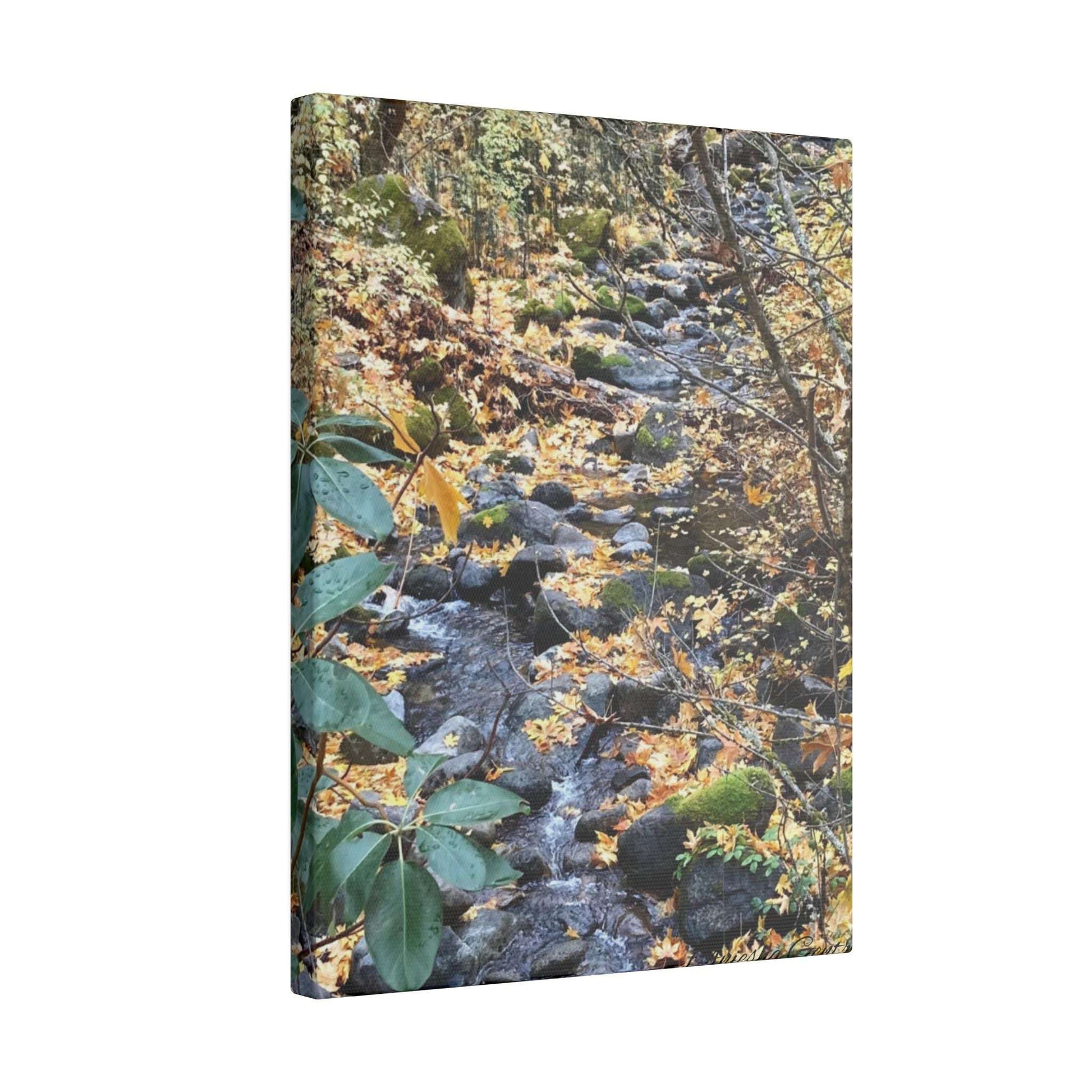 Hike in the Forest -  Stretched Matte Canvas Wall Art, Wall Decor