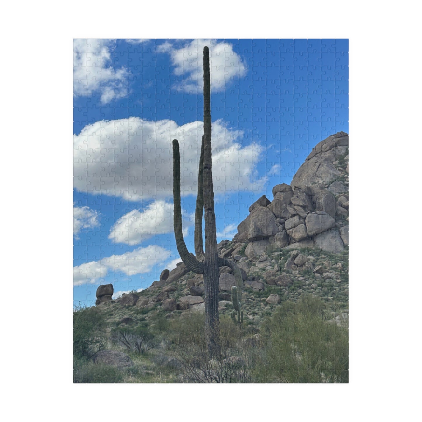 Arizona Desert Saguaro Cactus Scenic Puzzle —(110–1014 pieces)