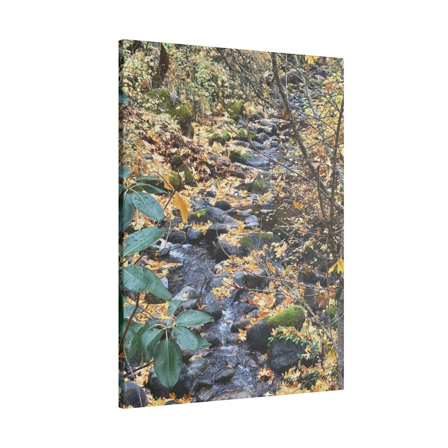 Hike in the Forest -  Stretched Matte Canvas Wall Art, Wall Decor