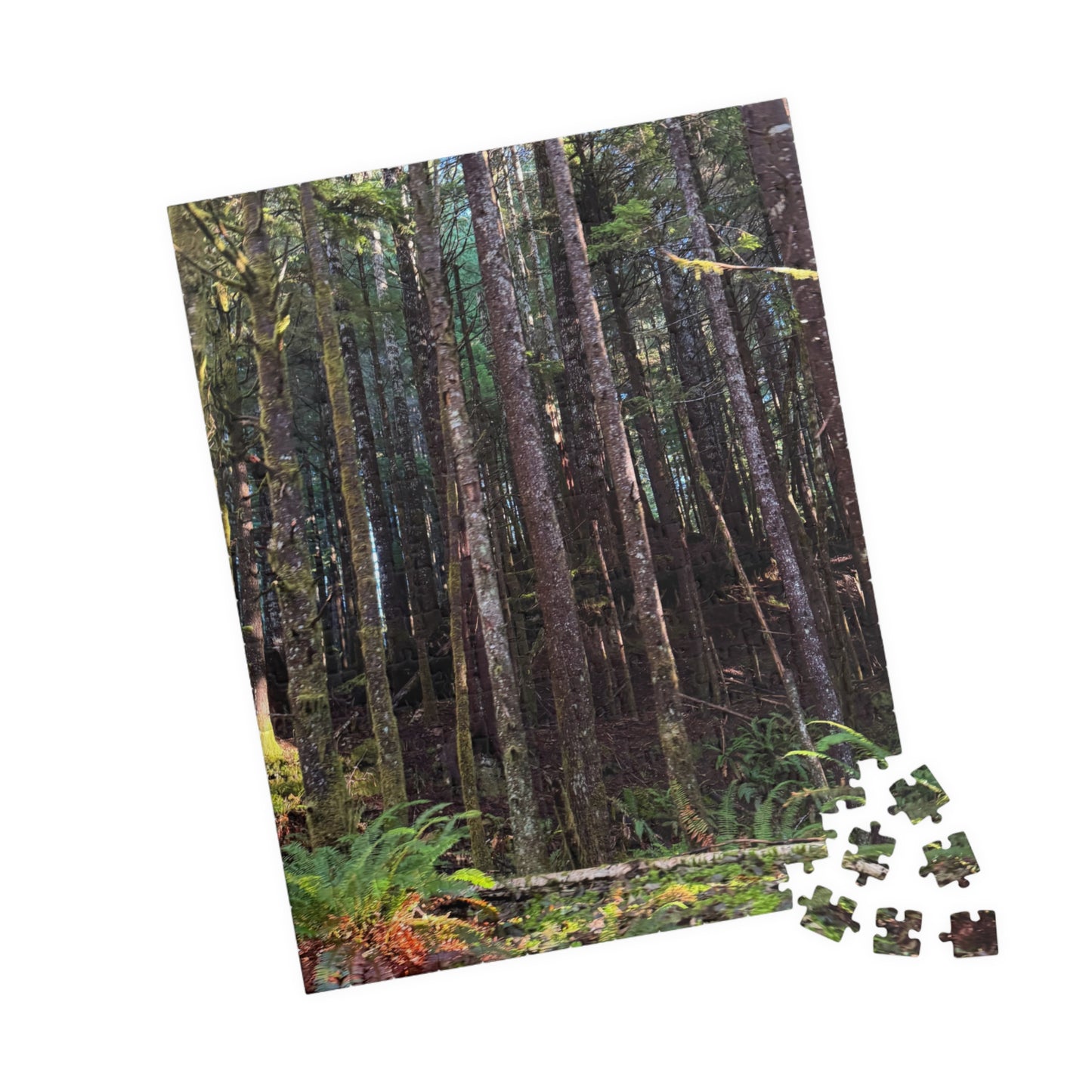 Tranquil Trees Nature Puzzle - (110 - 1014 Pieces)