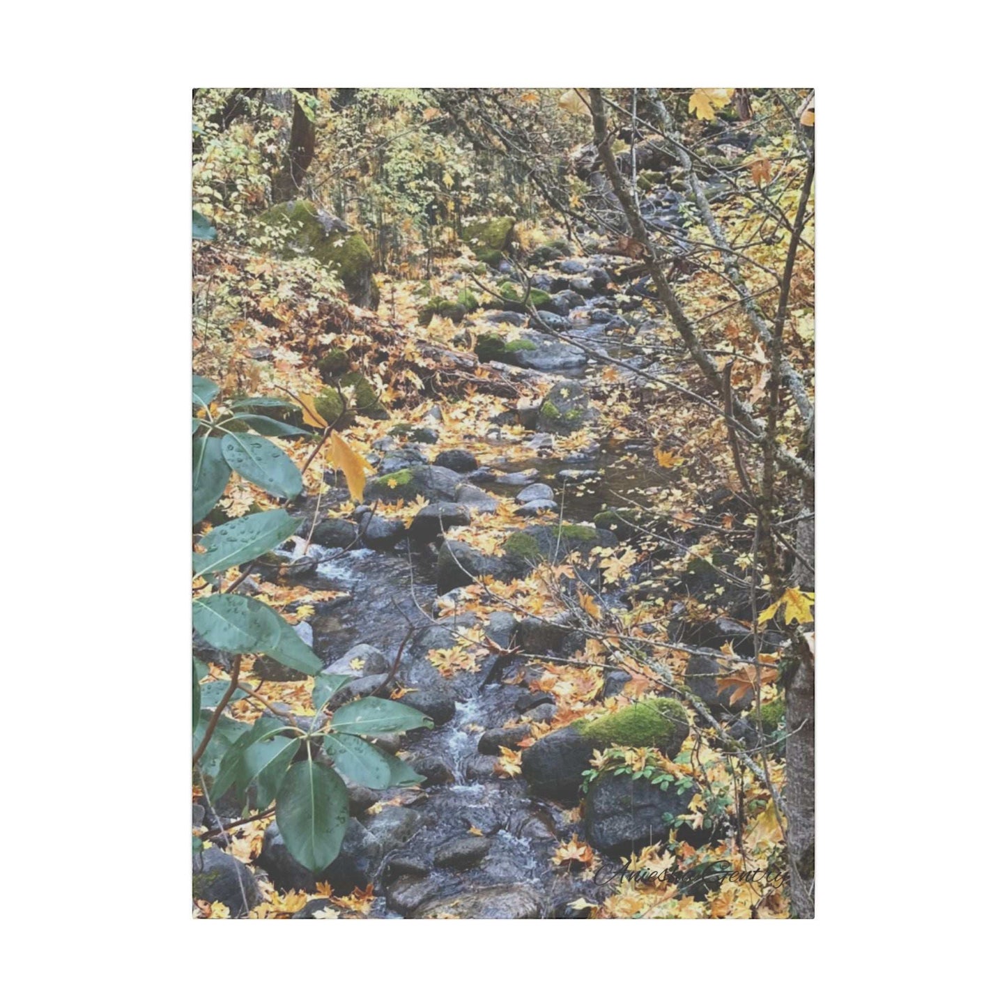 Hike in the Forest -  Stretched Matte Canvas Wall Art, Wall Decor