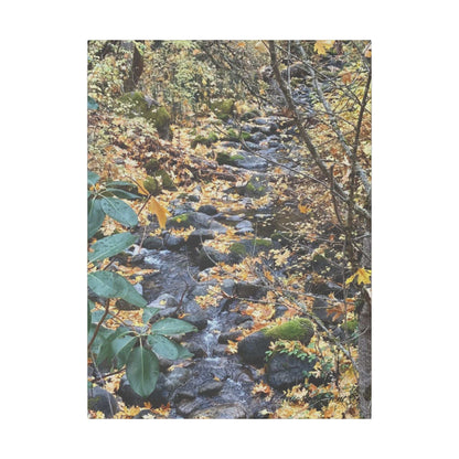 Hike in the Forest -  Stretched Matte Canvas Wall Art, Wall Decor