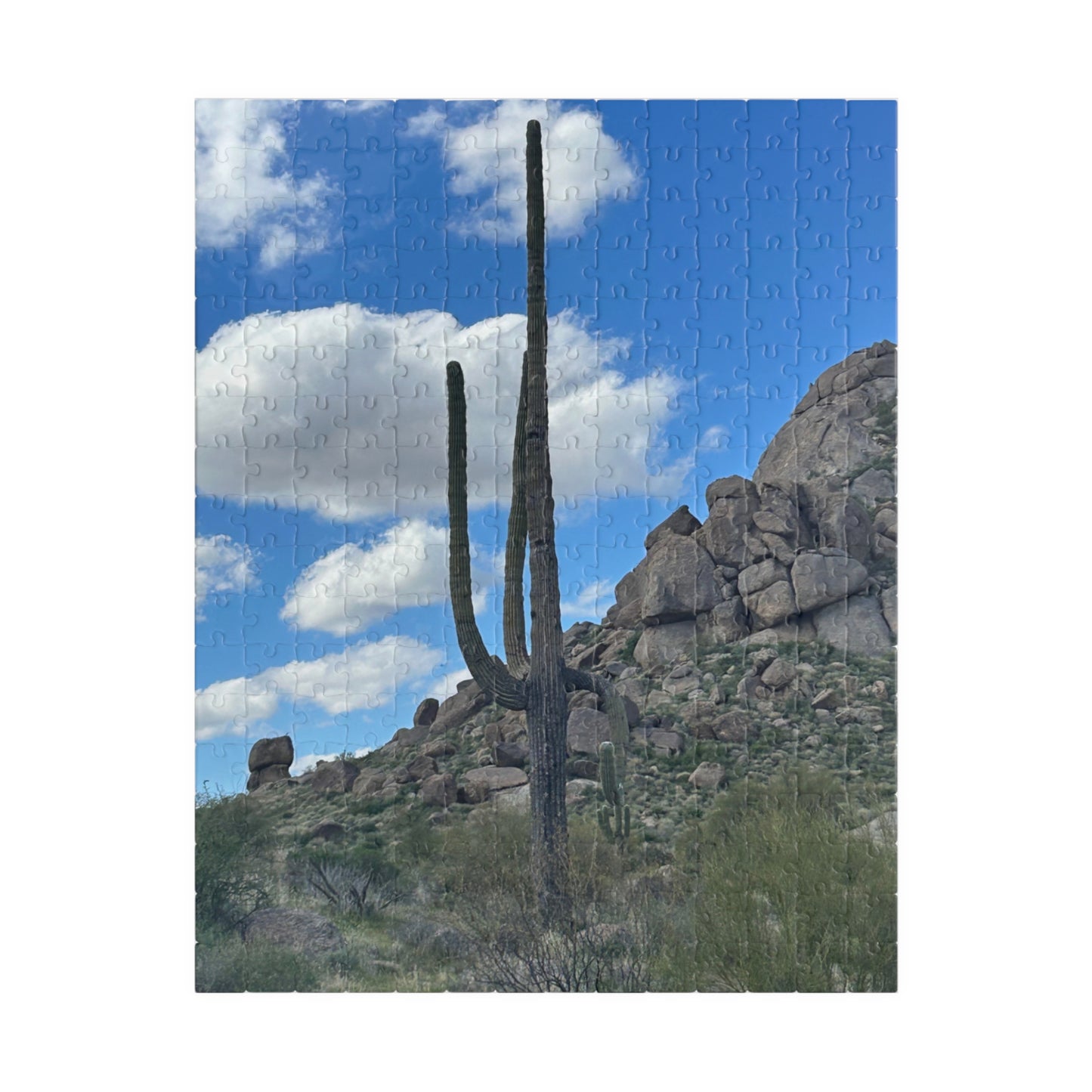 Arizona Desert Saguaro Cactus Scenic Puzzle —(110–1014 pieces)