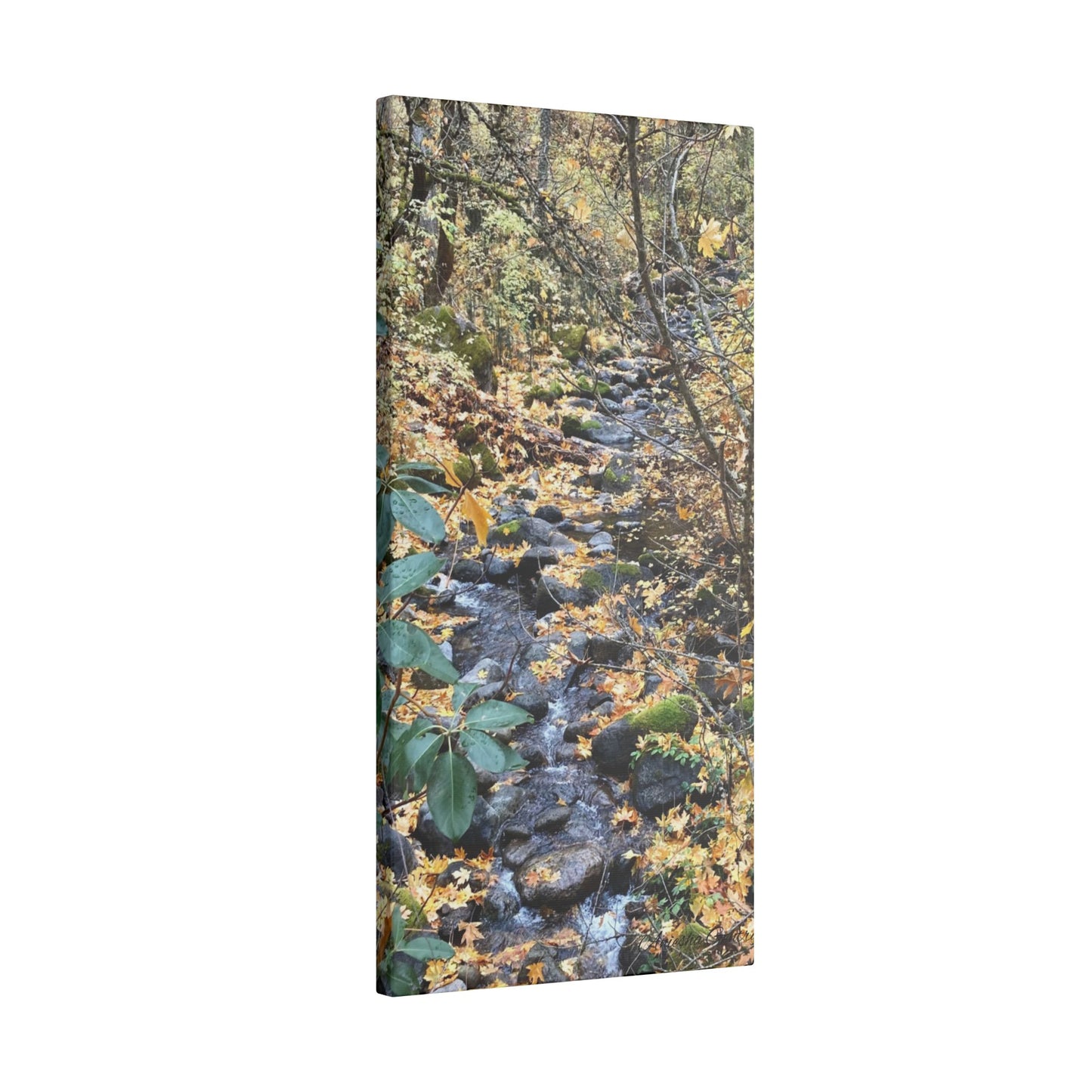 Hike in the Forest -  Stretched Matte Canvas Wall Art, Wall Decor