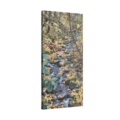 Hike in the Forest -  Stretched Matte Canvas Wall Art, Wall Decor