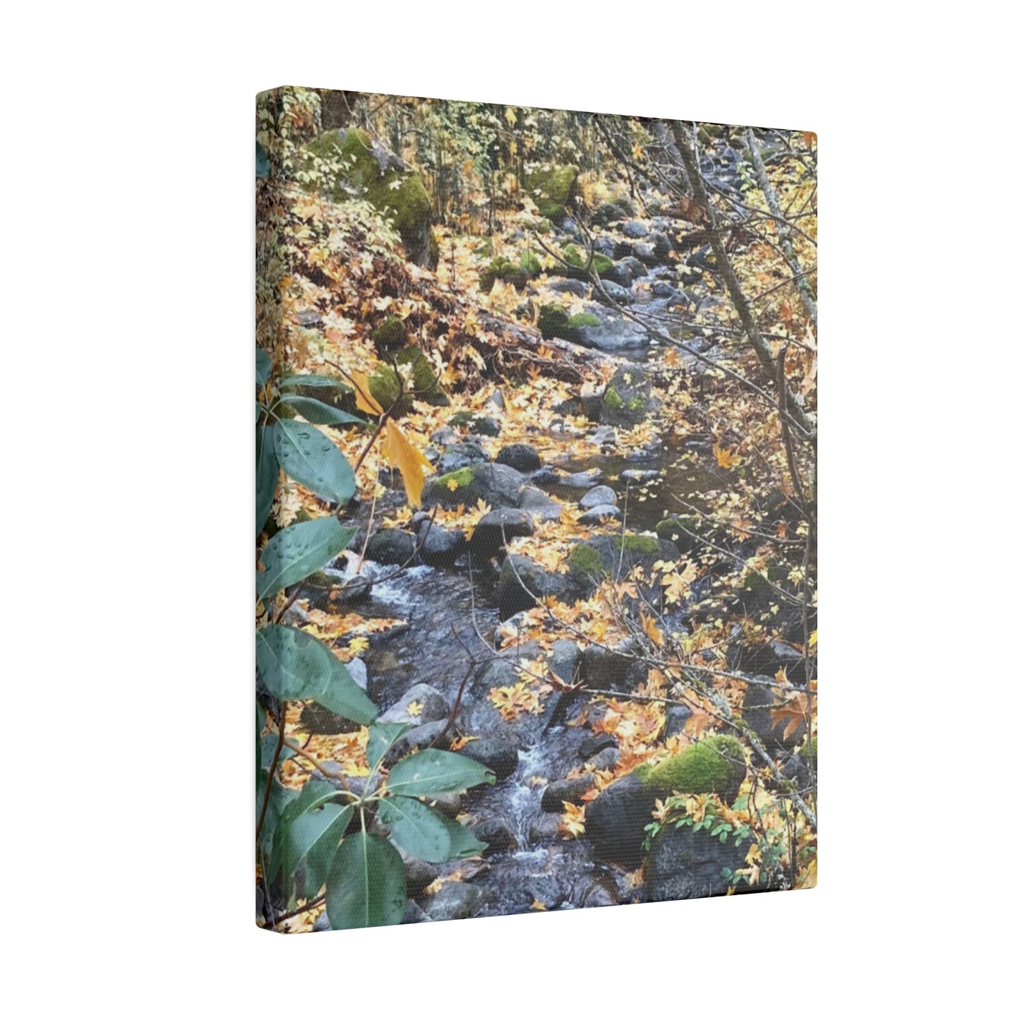 Hike in the Forest -  Stretched Matte Canvas Wall Art, Wall Decor