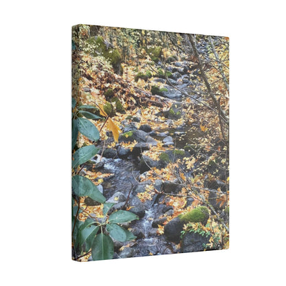 Hike in the Forest -  Stretched Matte Canvas Wall Art, Wall Decor