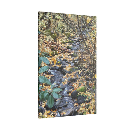 Hike in the Forest -  Stretched Matte Canvas Wall Art, Wall Decor