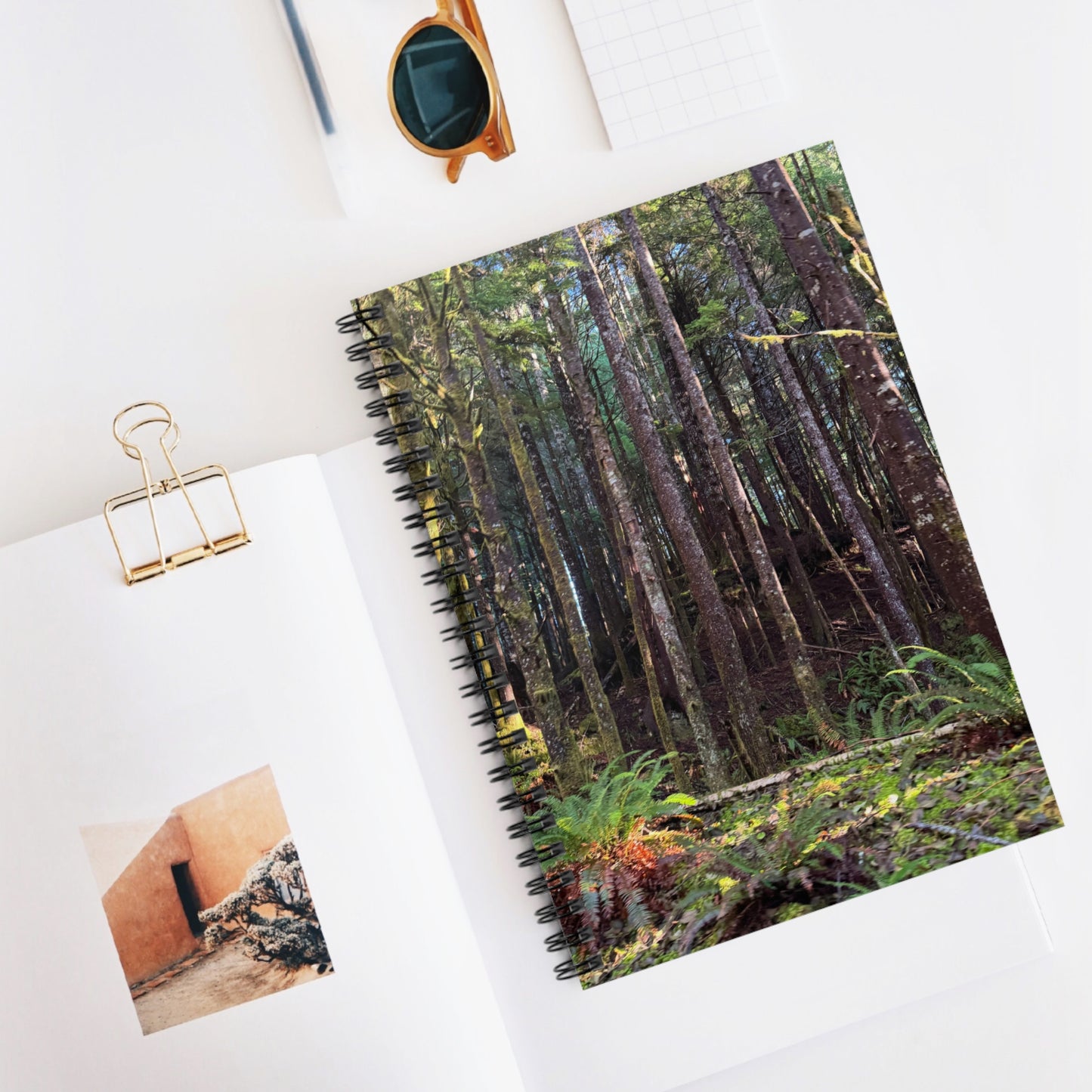 Tranquil Trees Forest Photo Spiral Notebook — Mossy Pacific Northwest Woodland Ruled Journal