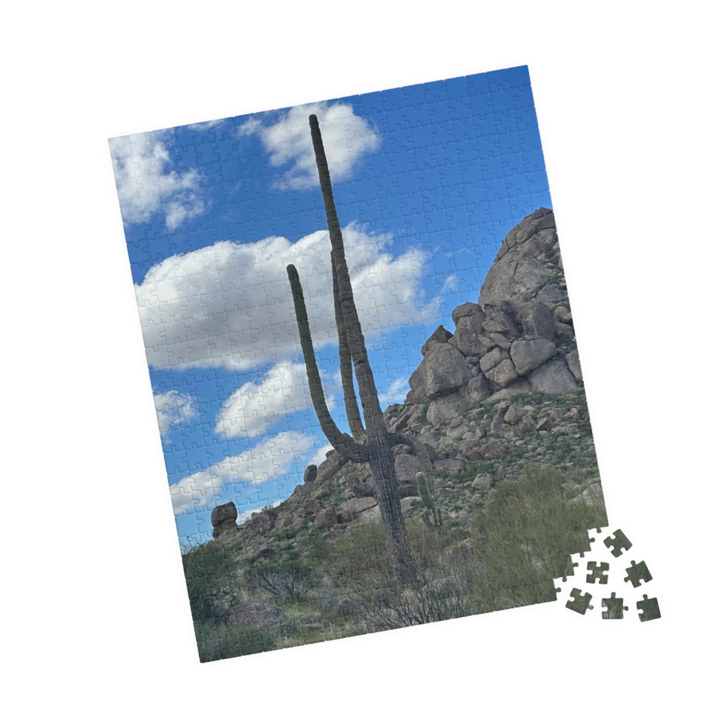 Arizona Desert Saguaro Cactus Scenic Puzzle —(110–1014 pieces)