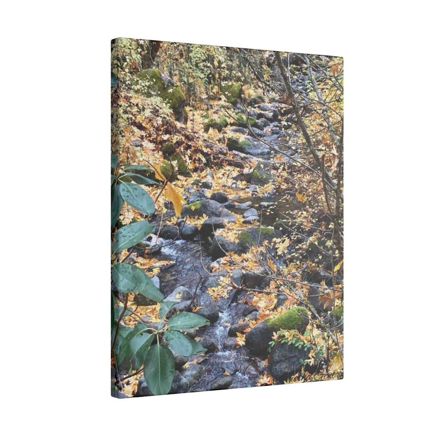 Hike in the Forest -  Stretched Matte Canvas Wall Art, Wall Decor