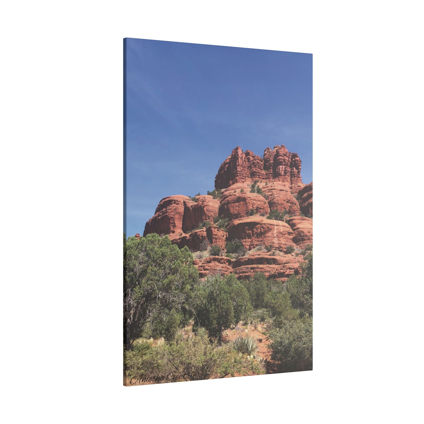 Majestic Red Rock Landscape -  Stretched Canvas Wall Art, Wall Decor