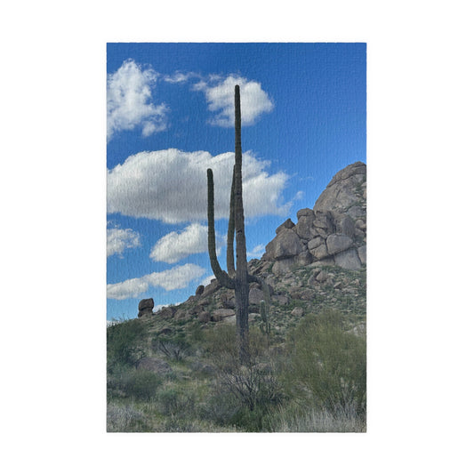 Arizona Desert Saguaro Cactus Scenic Puzzle —(110–1014 pieces)