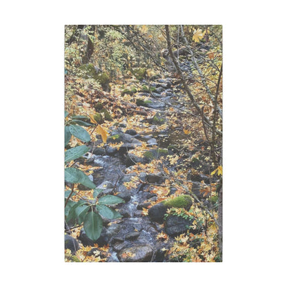 Hike in the Forest -  Stretched Matte Canvas Wall Art, Wall Decor