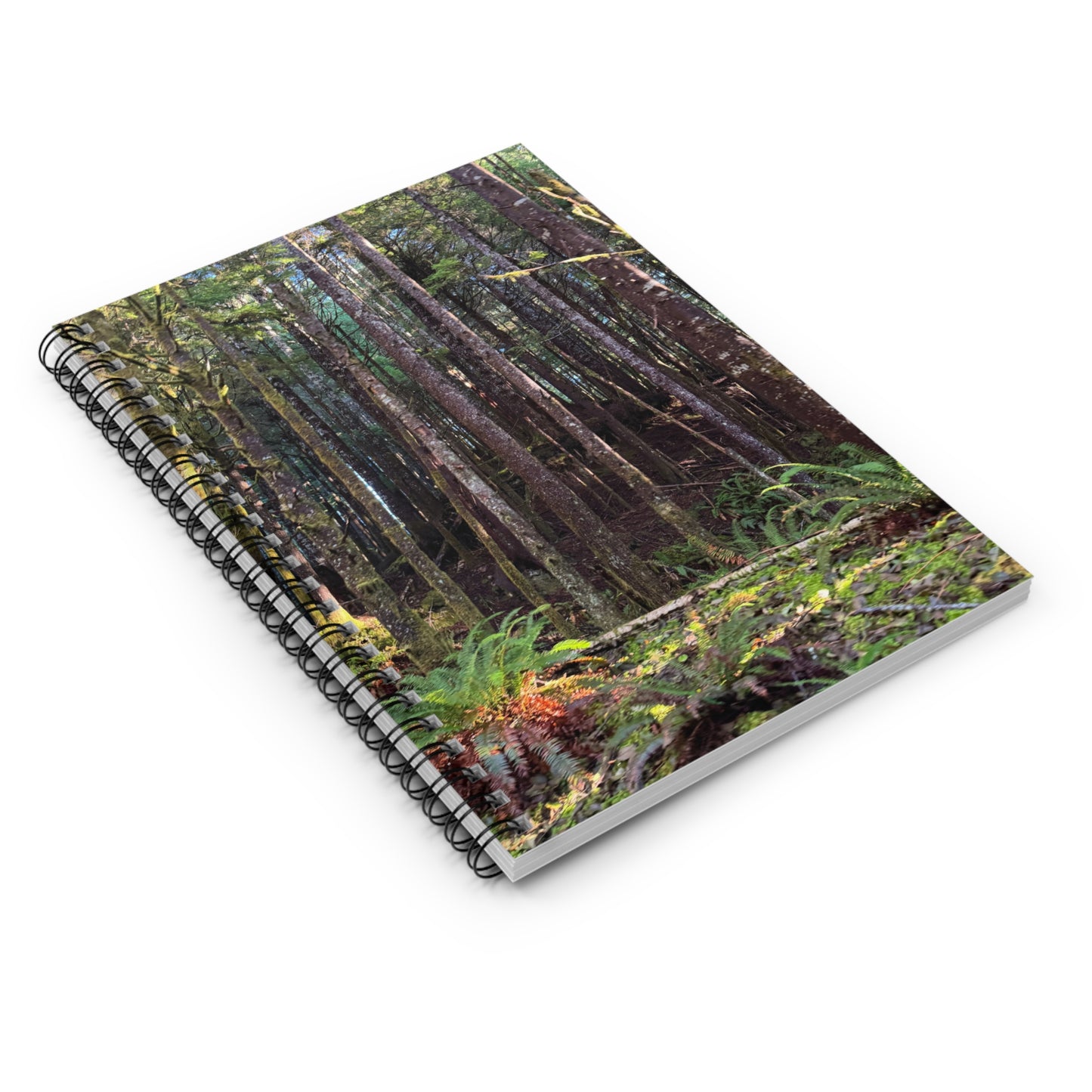 Tranquil Trees Forest Photo Spiral Notebook — Mossy Pacific Northwest Woodland Ruled Journal
