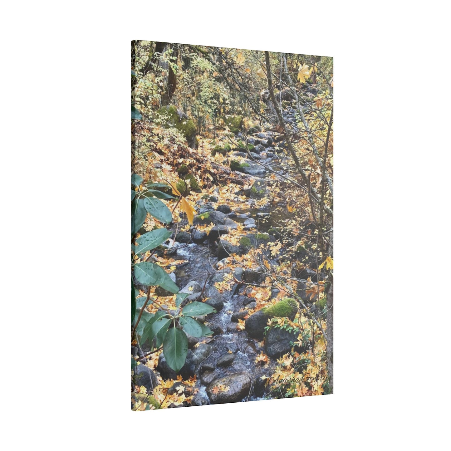 Hike in the Forest -  Stretched Matte Canvas Wall Art, Wall Decor