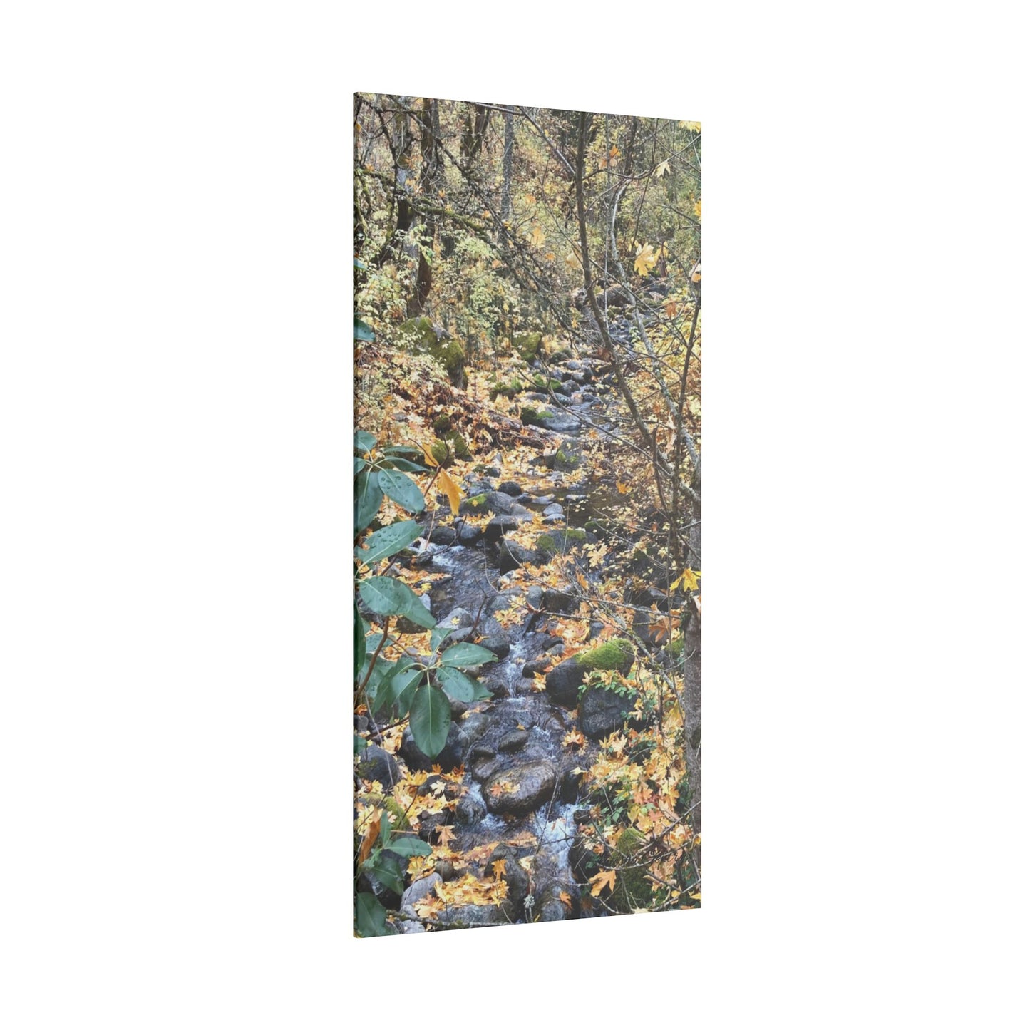 Hike in the Forest -  Stretched Matte Canvas Wall Art, Wall Decor