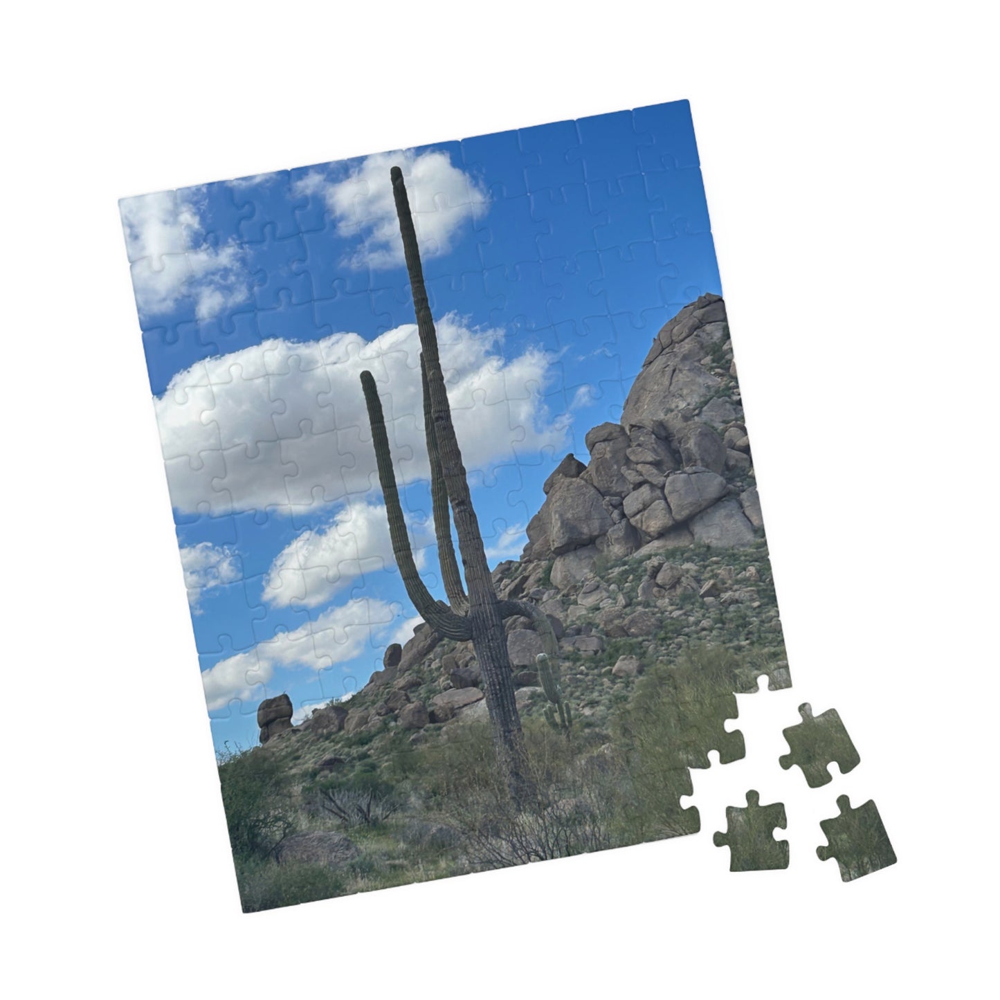 Arizona Desert Saguaro Cactus Scenic Puzzle —(110–1014 pieces)