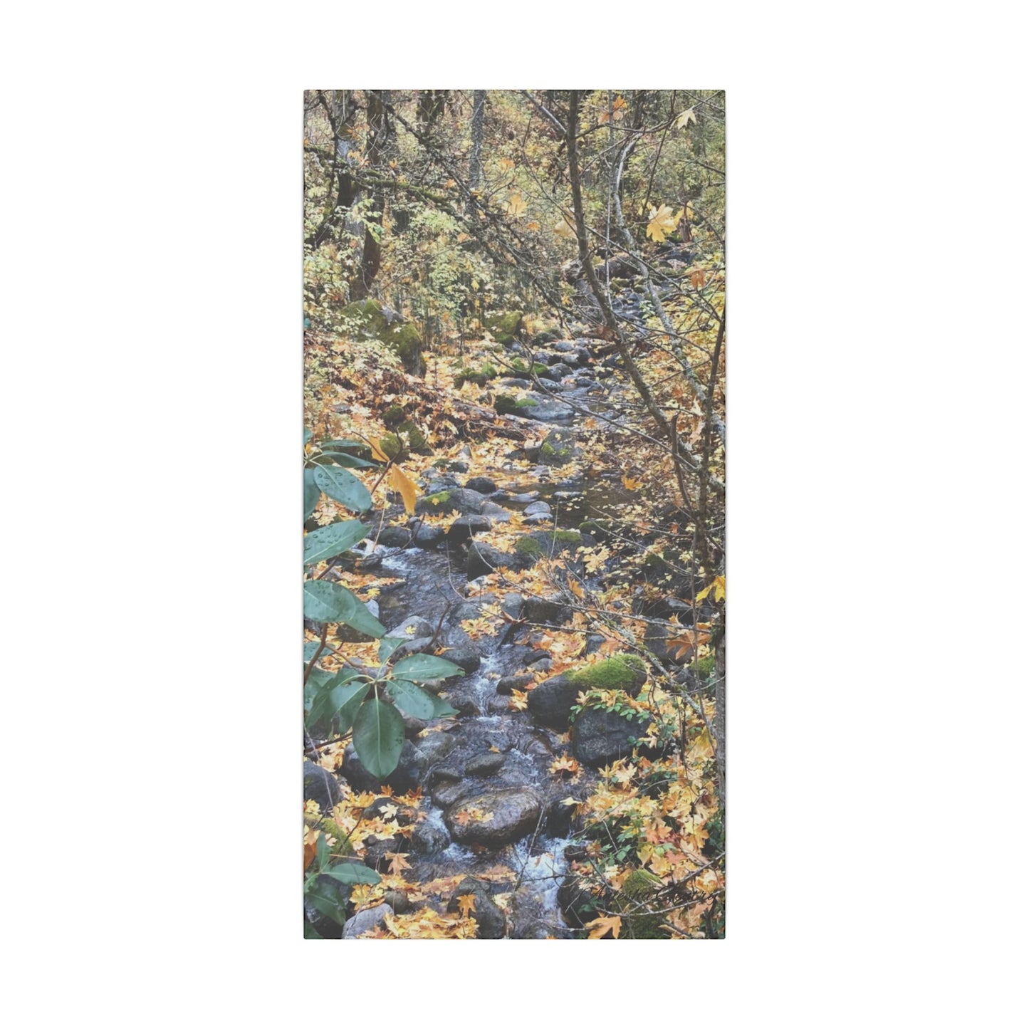 Hike in the Forest -  Stretched Matte Canvas Wall Art, Wall Decor