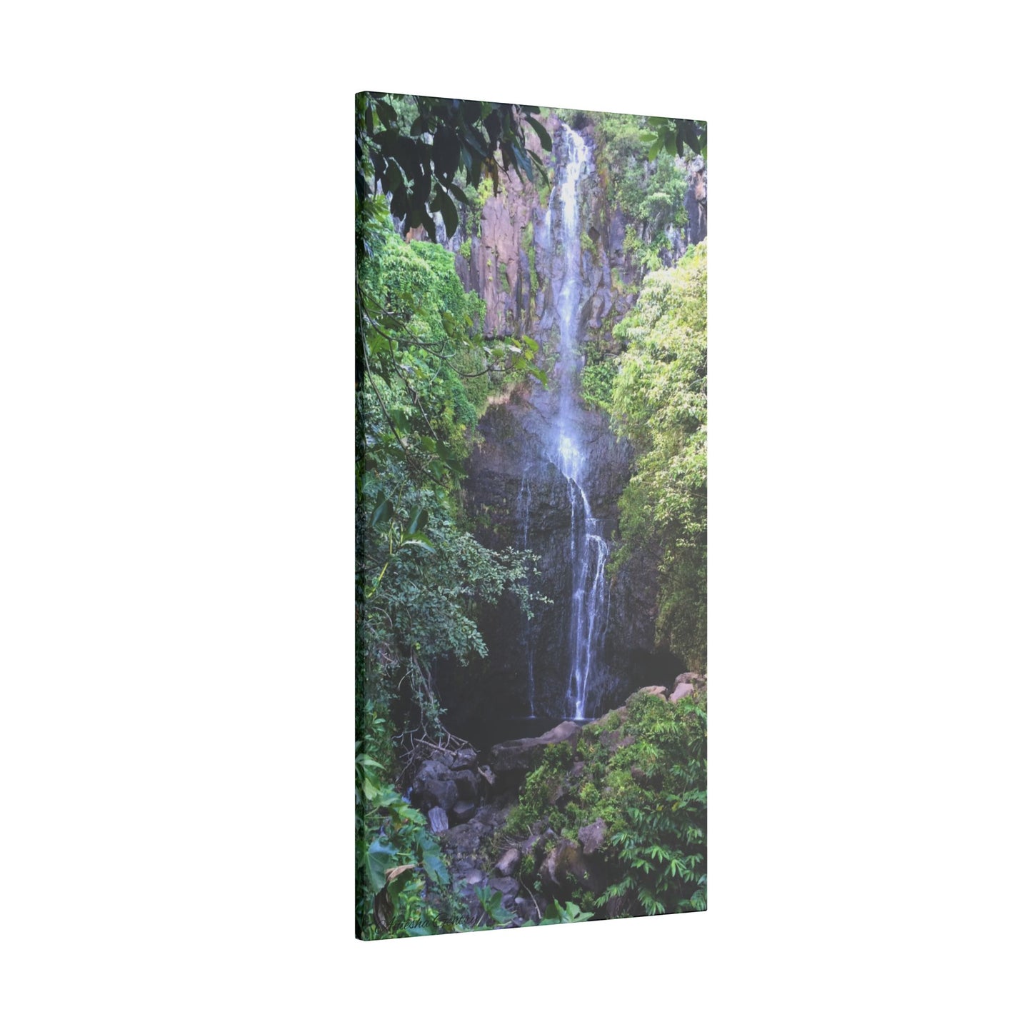 Hidden Waterfall  - Stretched Matte Canvas Art Print for Nature Lovers