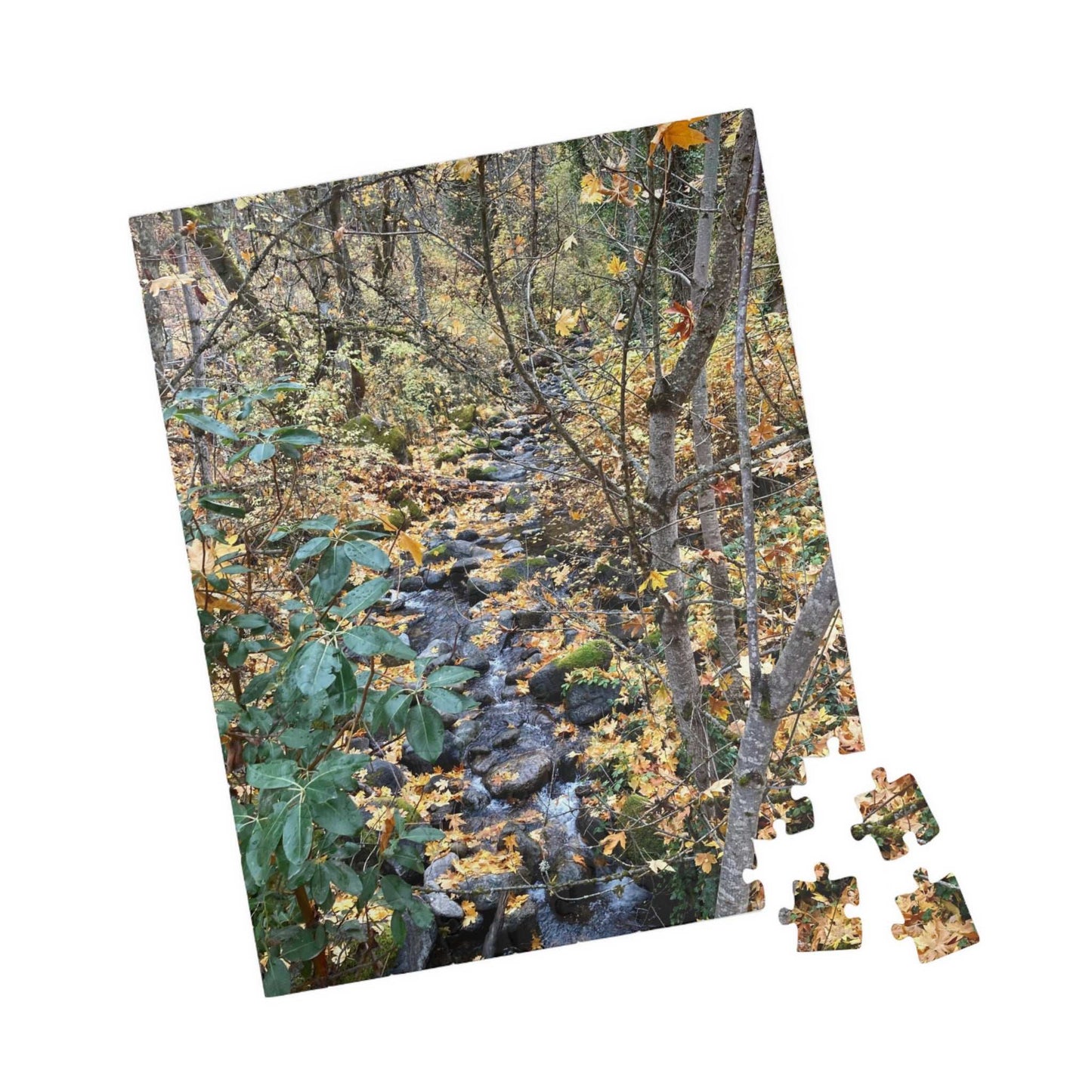 Hike in the Forest Puzzle (110, 252, 520, 1014-piece)