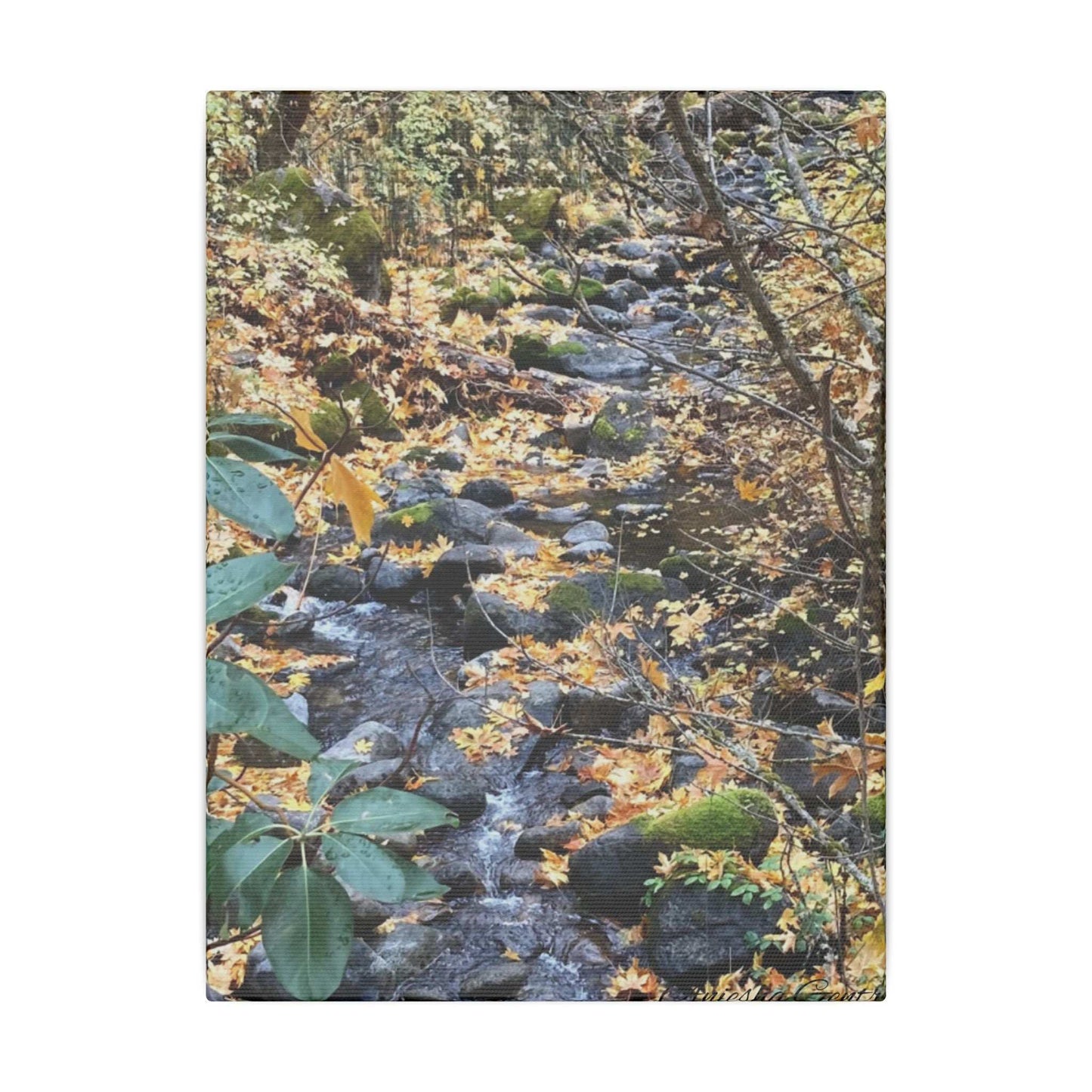 Hike in the Forest -  Stretched Matte Canvas Wall Art, Wall Decor