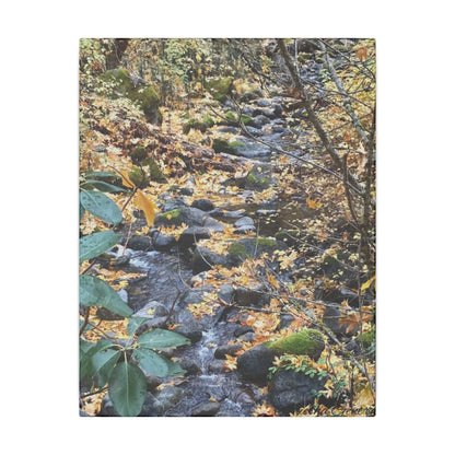 Hike in the Forest -  Stretched Matte Canvas Wall Art, Wall Decor